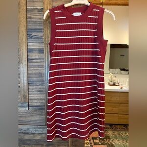 Evereve Sleeveless Ribbed Mini Dress in Burgundy and White Stripes